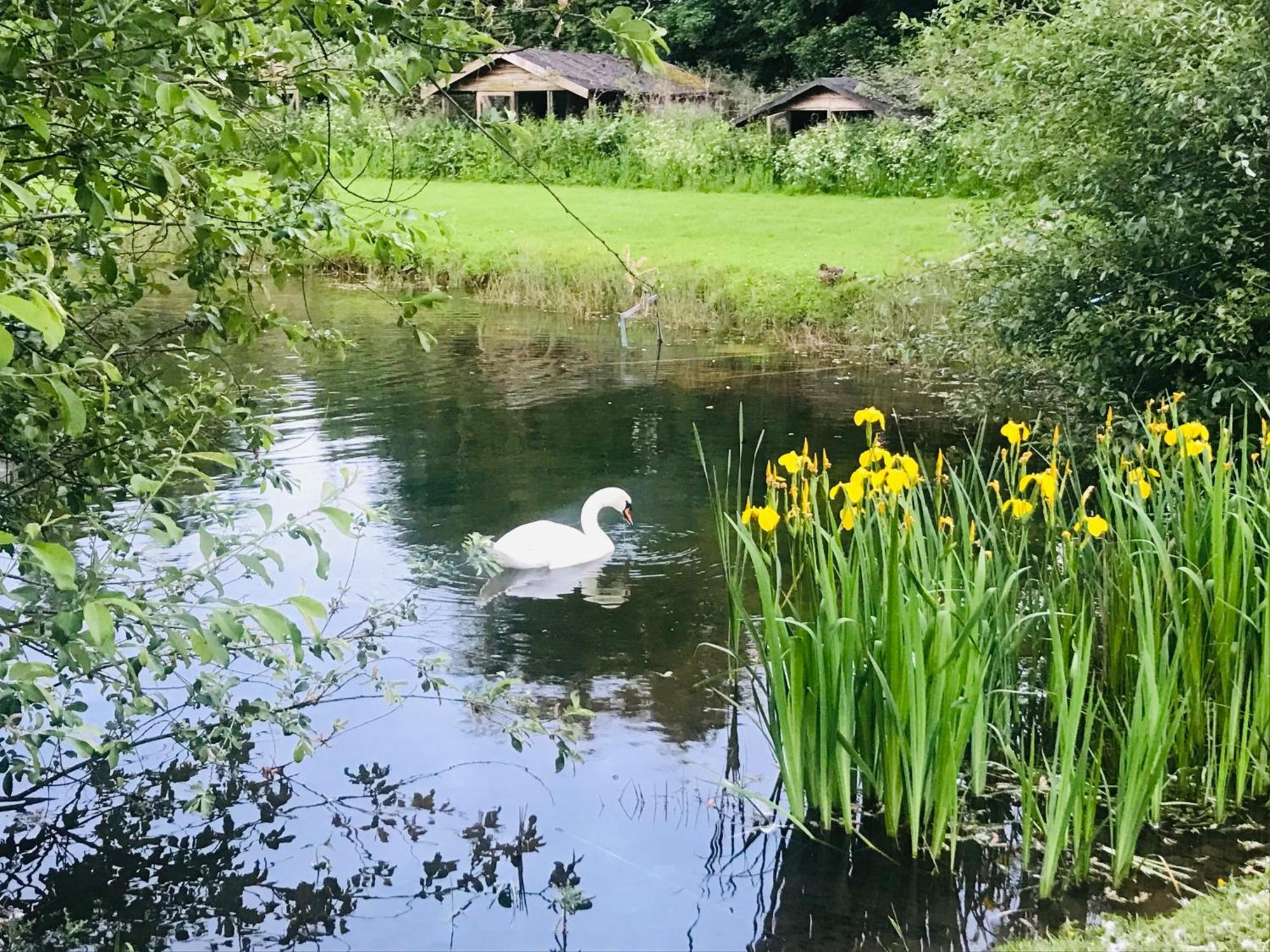Bransford Farm Fishery & B & B Екстериор снимка