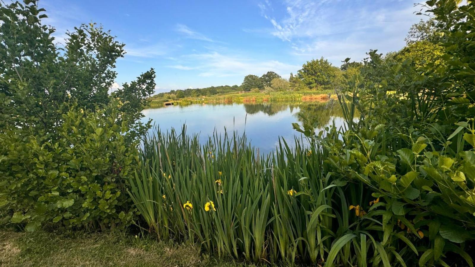Bransford Farm Fishery & B & B Екстериор снимка